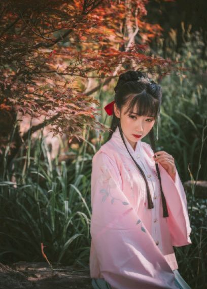 《血狼犬》电影