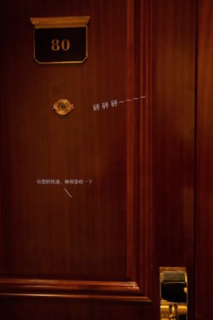 桑叶在线观看