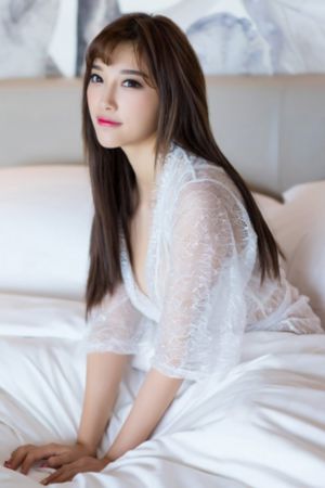 紫川动漫第二季