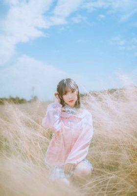 珠帘玉幕免费观看